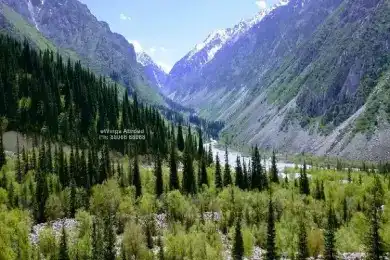 MBBS in Kyrgyzstan
